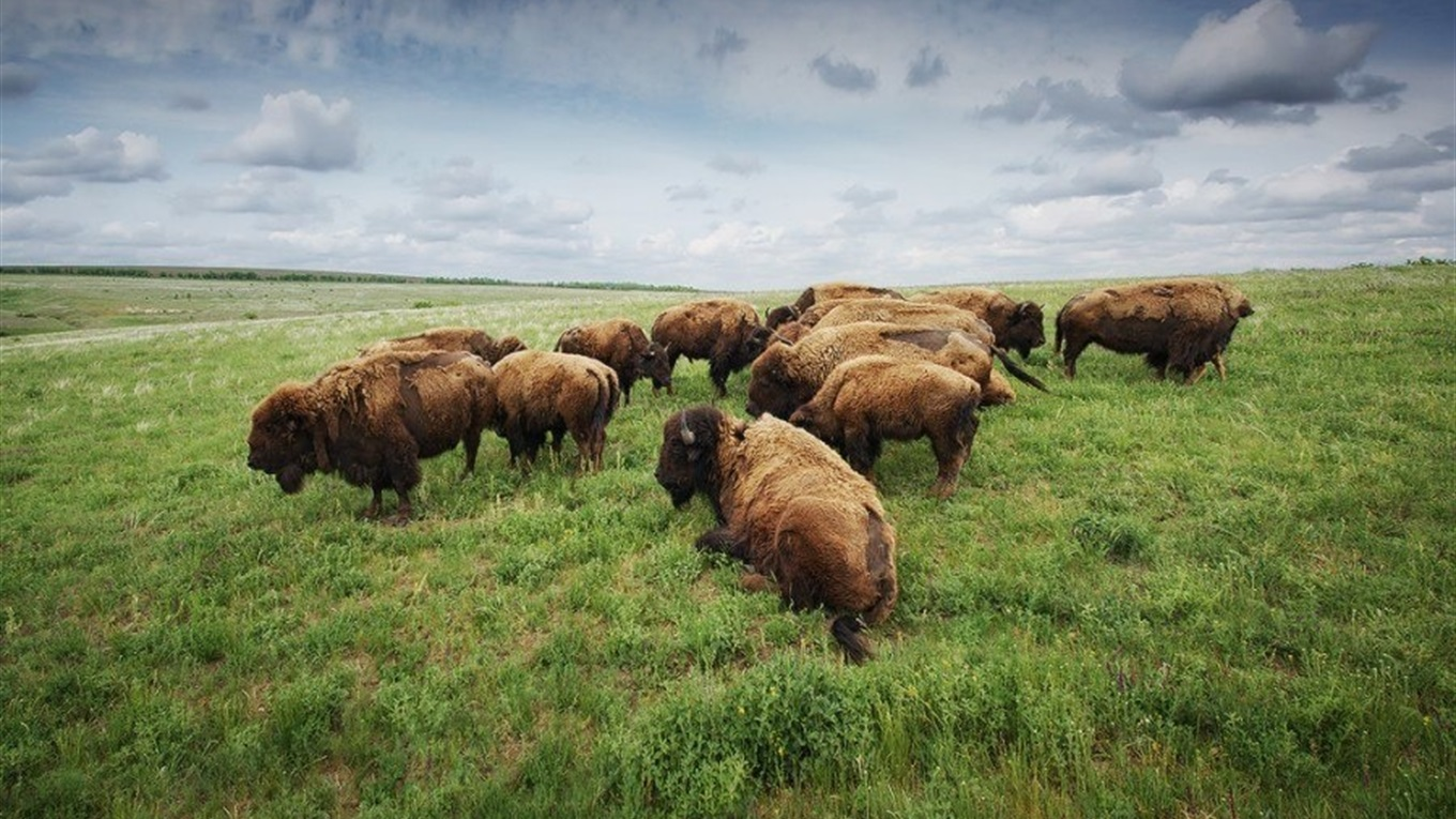 Работа фотографа Дениса Кривого, погибшего под Бахмутом.