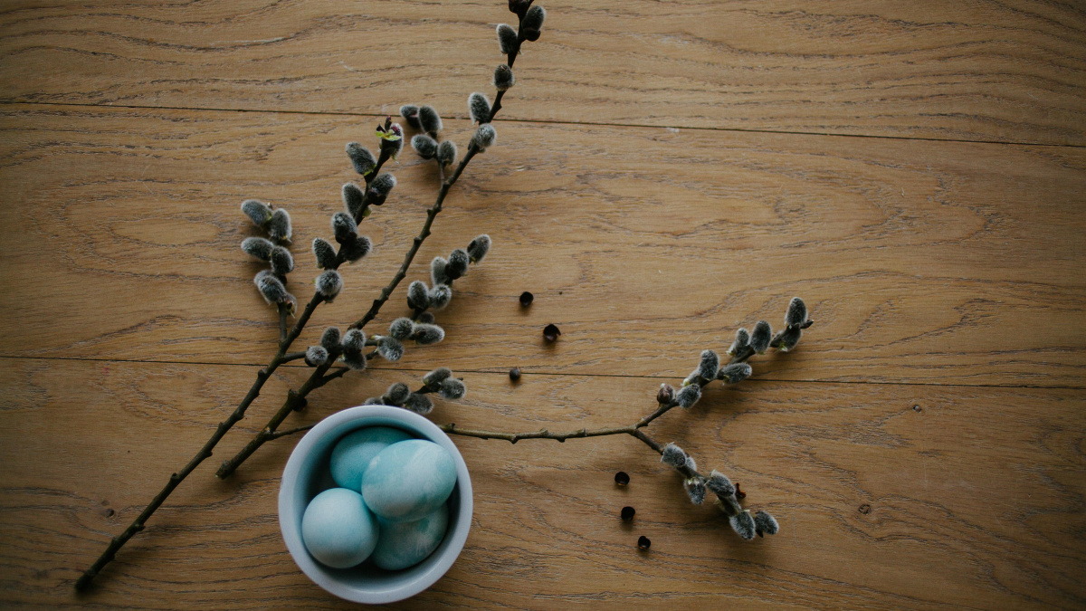 Когда Вербное воскресенье в 2025 году: традиции, приметы и главные запреты.