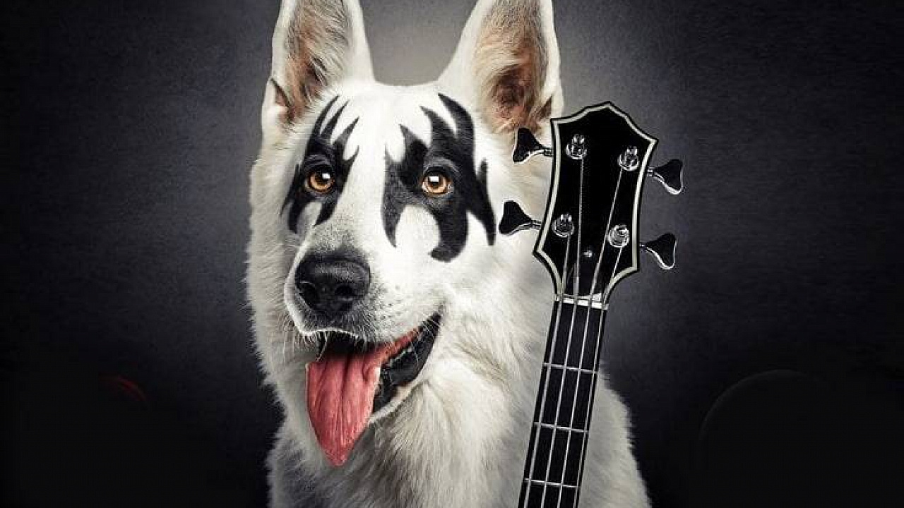 Диван подождет: куда пойти в Одессе на этой неделе фото 1