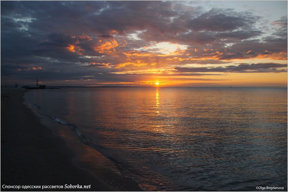 Фото Ольги Богдановой