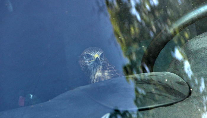 Фото Александра Хохлова