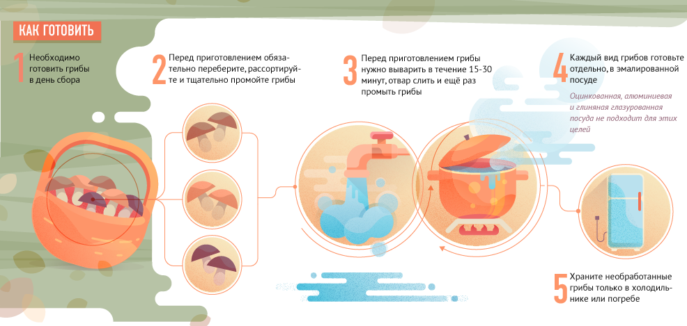В Одесской области 16 человек отравились грибами: девочка из Саврани все еще в коме. Инфографика: livejournal.com