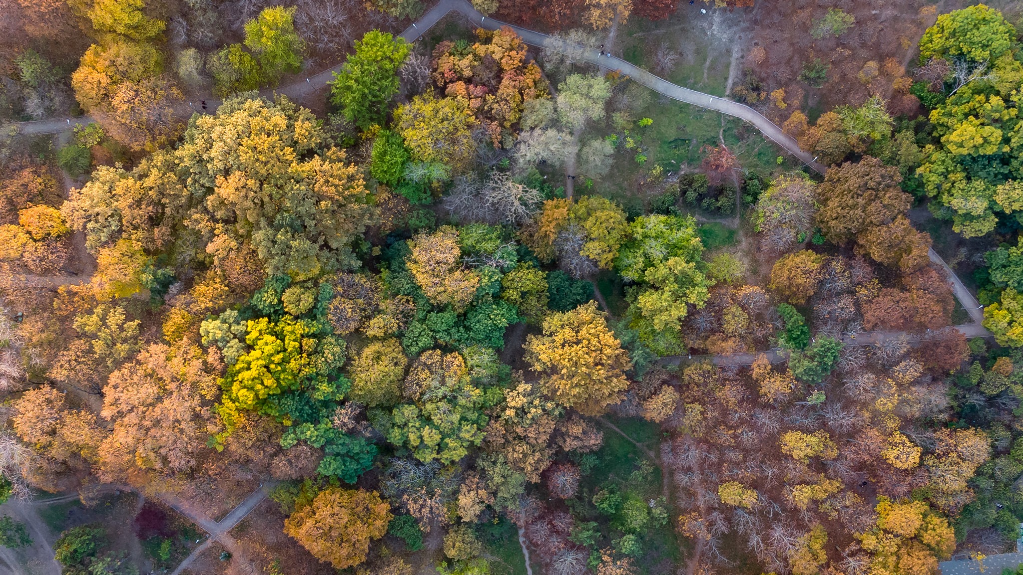 Полюбуйся: как выглядит осенний парк в Одессе с высоты птичьего полета
