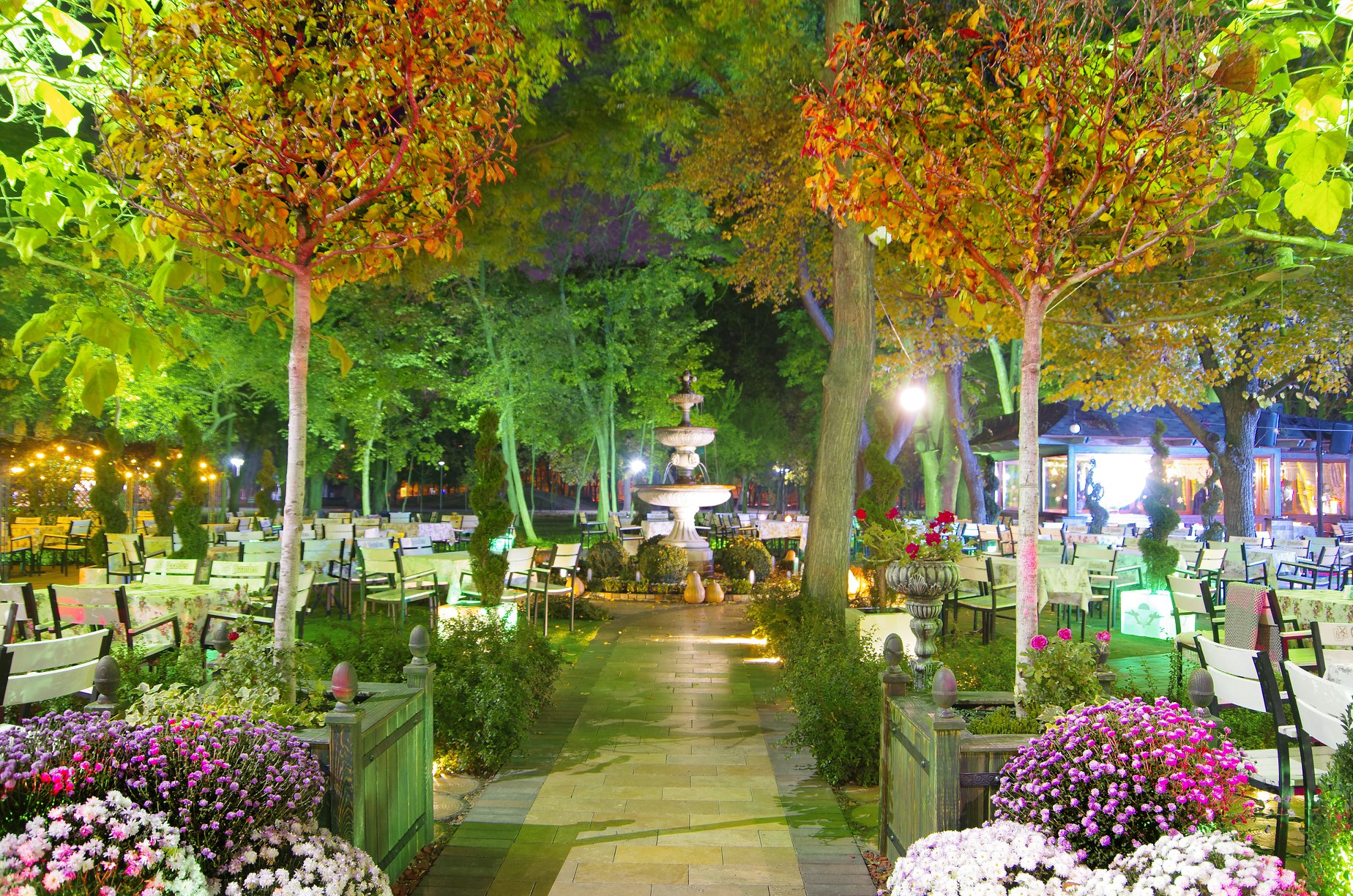 Атмосферный ноябрь: полюбуйся вечерним парком Горького в Одессе