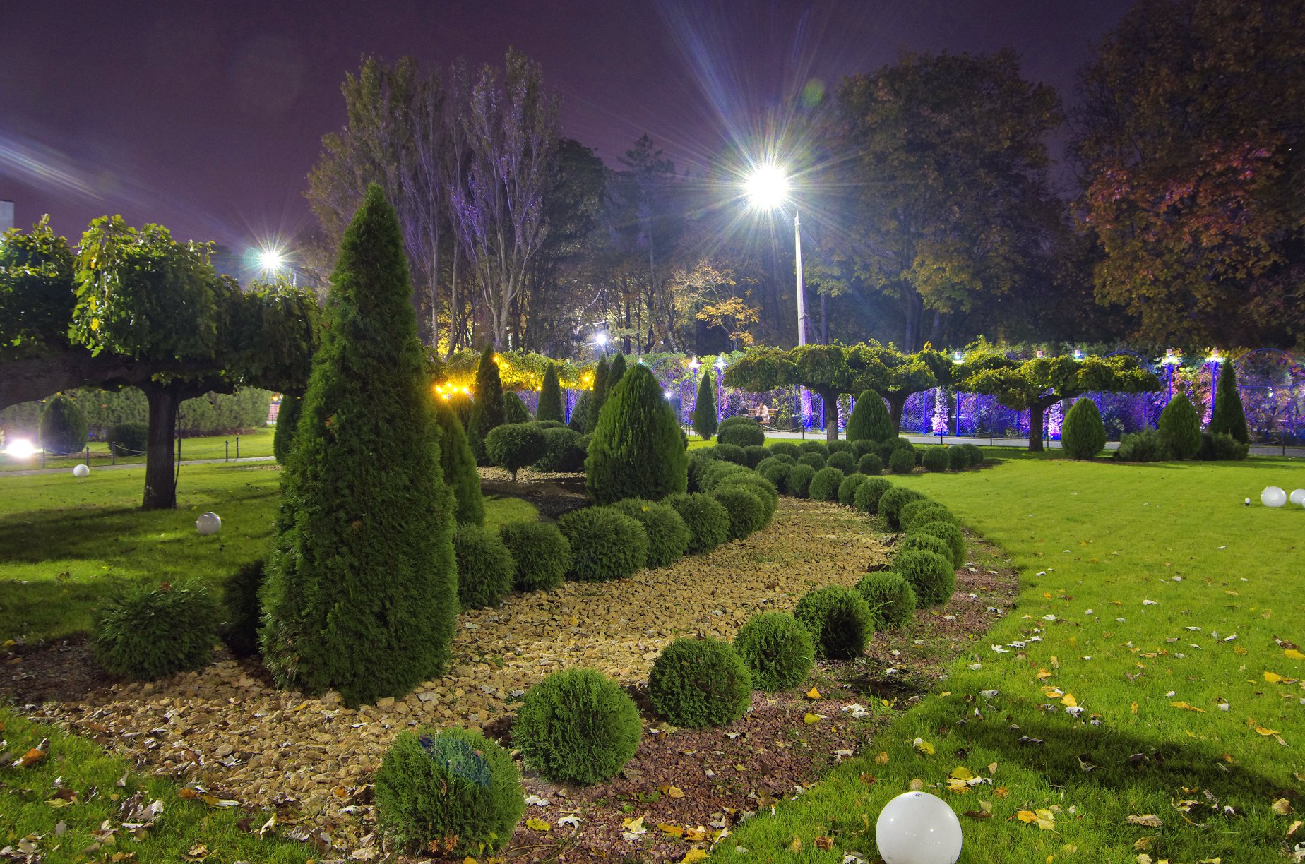 Атмосферный ноябрь: полюбуйся вечерним парком Горького в Одессе