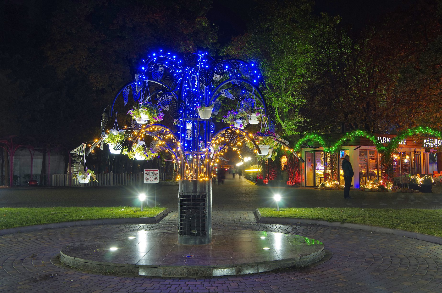 Атмосферный ноябрь: полюбуйся вечерним парком Горького в Одессе