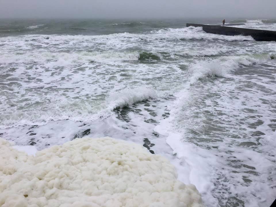 Полюбуйся: одесский парк окутал густой туман, а пляжи накрыло пеной. Фото Натальи Ситаль