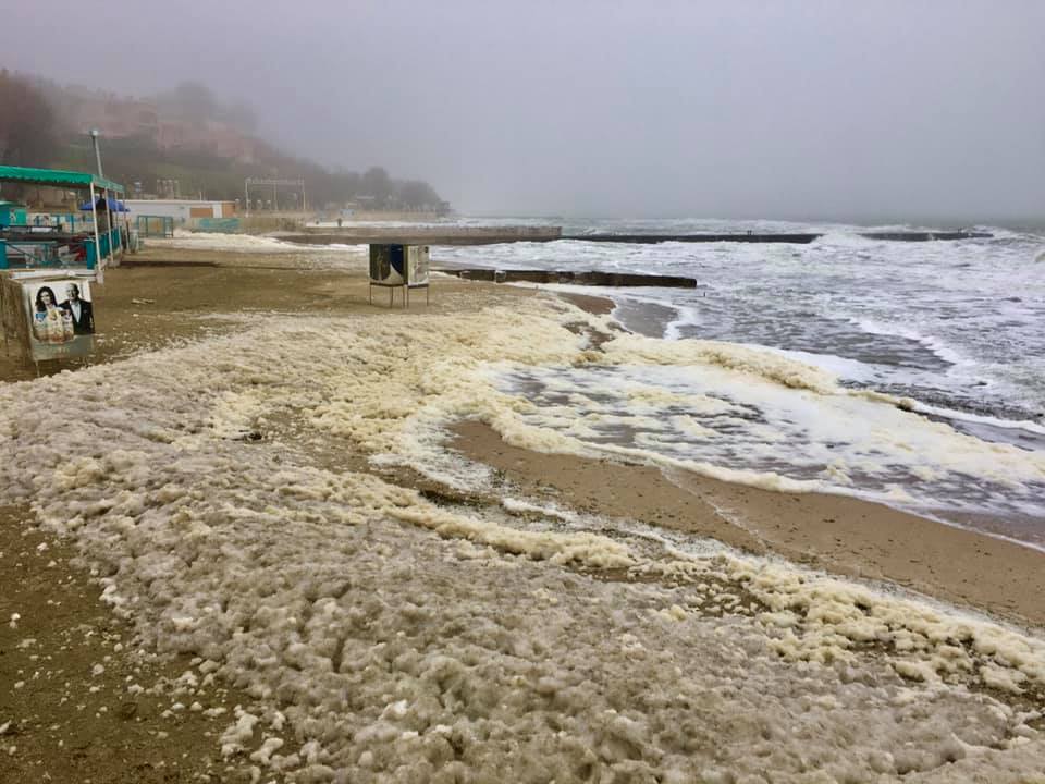 Полюбуйся: одесский парк окутал густой туман, а пляжи накрыло пеной. Фото Натальи Ситаль