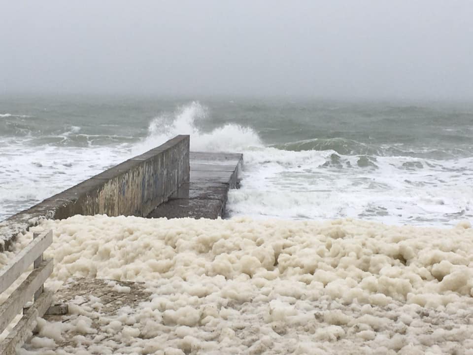 Полюбуйся: одесский парк окутал густой туман, а пляжи накрыло пеной. Фото Натальи Ситаль