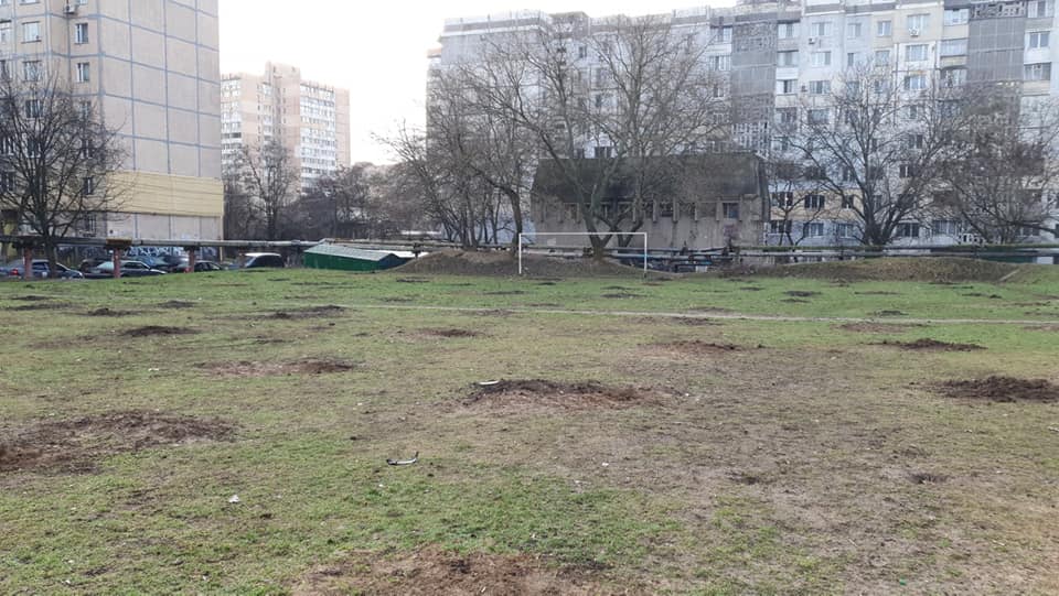 Сюрприз к Новому году: на Таирова за ночь исчезли больше 100 деревьев. Фото: Екатерина Ш.