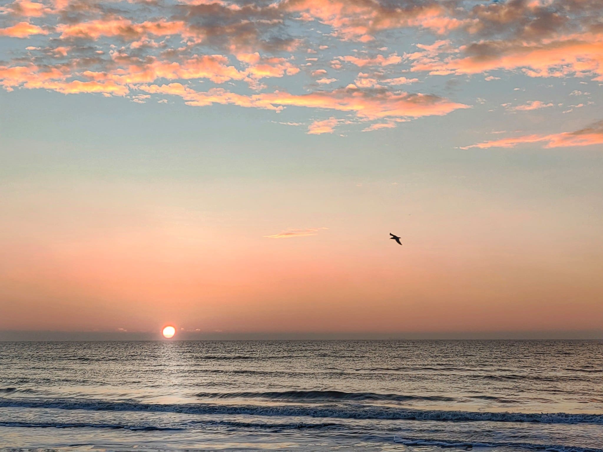 Солнечный город: полюбуйся побережьем Одессы в январе. Фото: Наталья Зиновьева