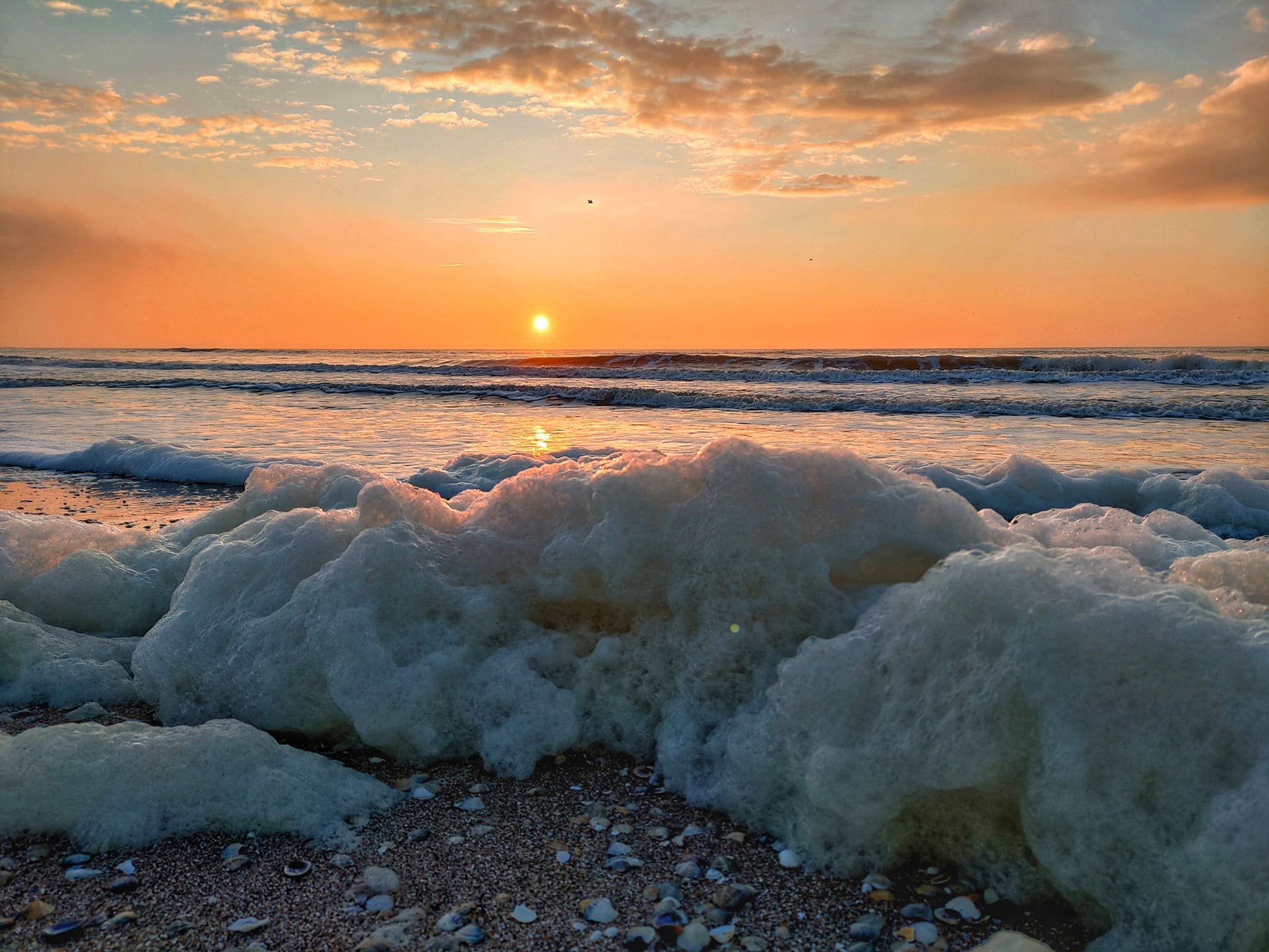 Солнечный город: полюбуйся побережьем Одессы в январе фото 2 1