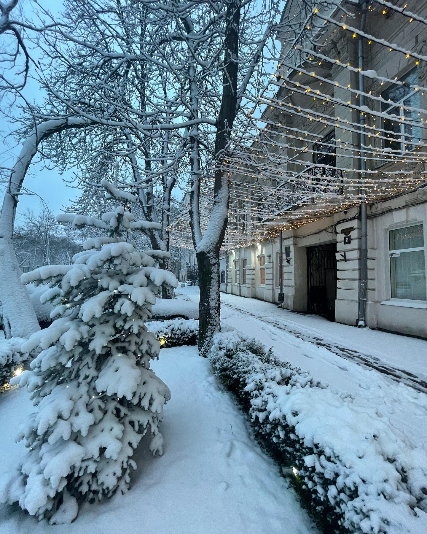 Сказочные пейзажи: смотри, как выглядит заснеженная Одесса. Фото: Serge Kravets