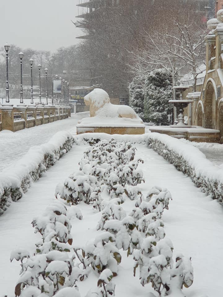Сказочные пейзажи: смотри, как выглядит заснеженная Одесса. Фото: Наталья Негруца