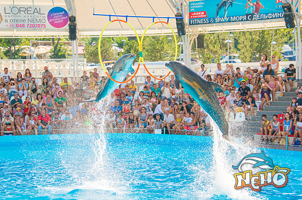 Фото: Дельфинарий "Немо"