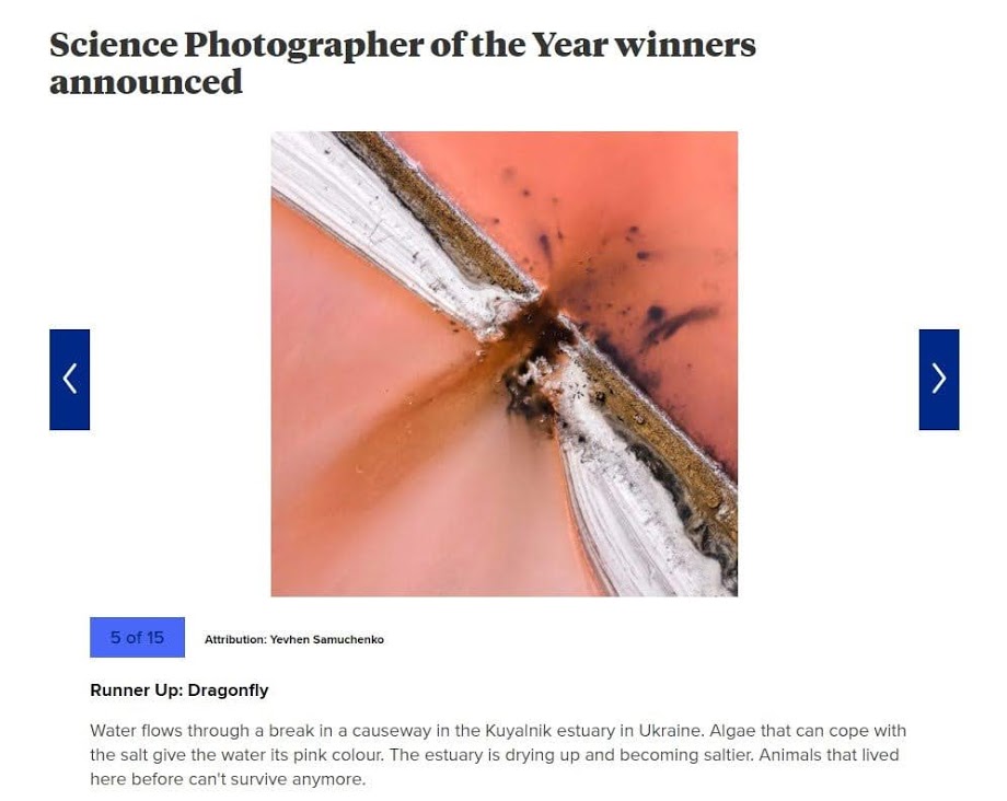 Фото Куяльника покажут в Британском музее науки и промышленности. Фото: Science Photographer of the Year