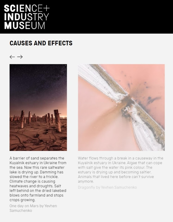 Фото Куяльника покажут в Британском музее науки и промышленности. Фото: Science Photographer of the Year