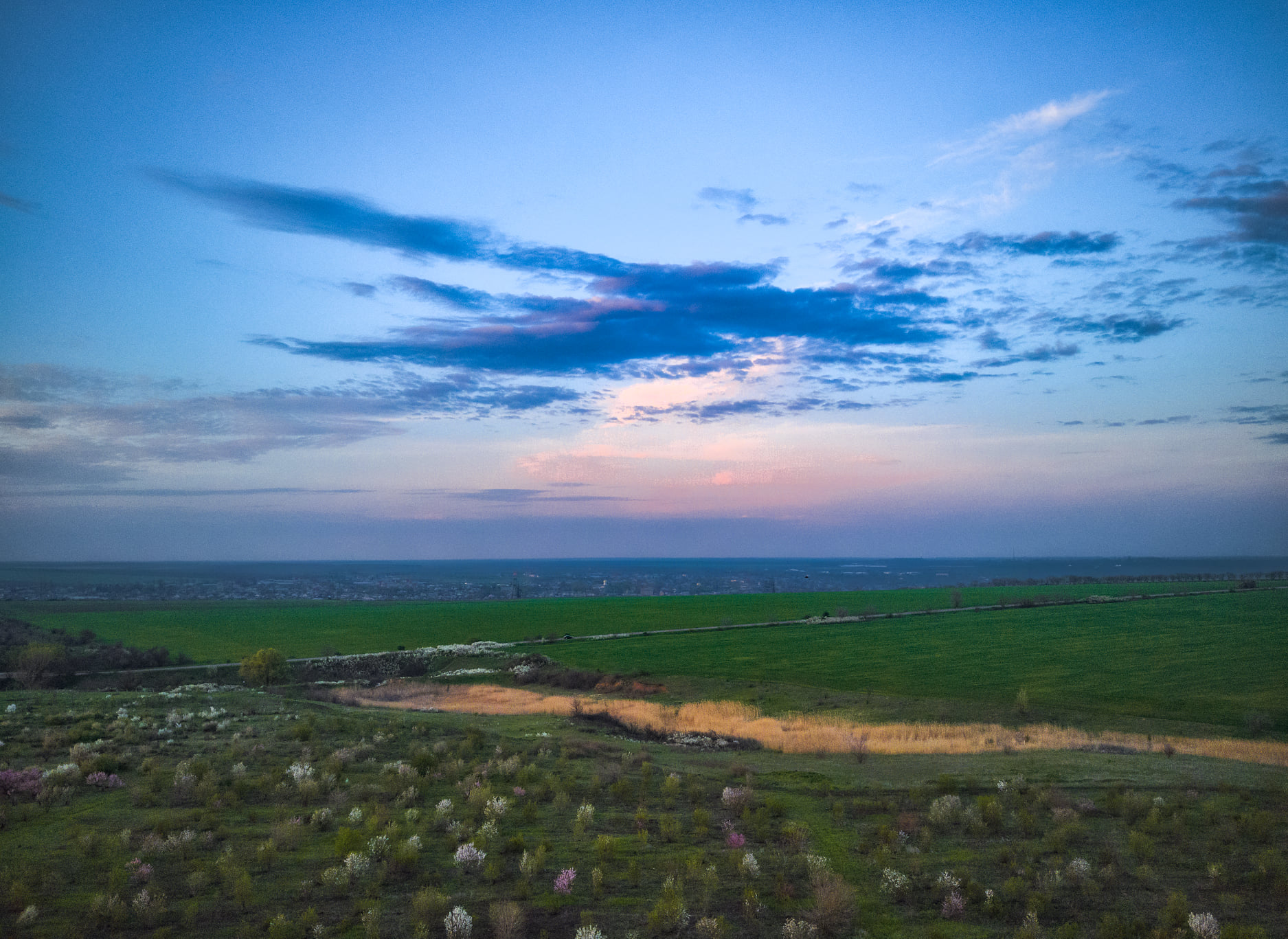 Полюбуйся: в Одесской области цветут персиковые сады. Фото: Andrey Nikolenko