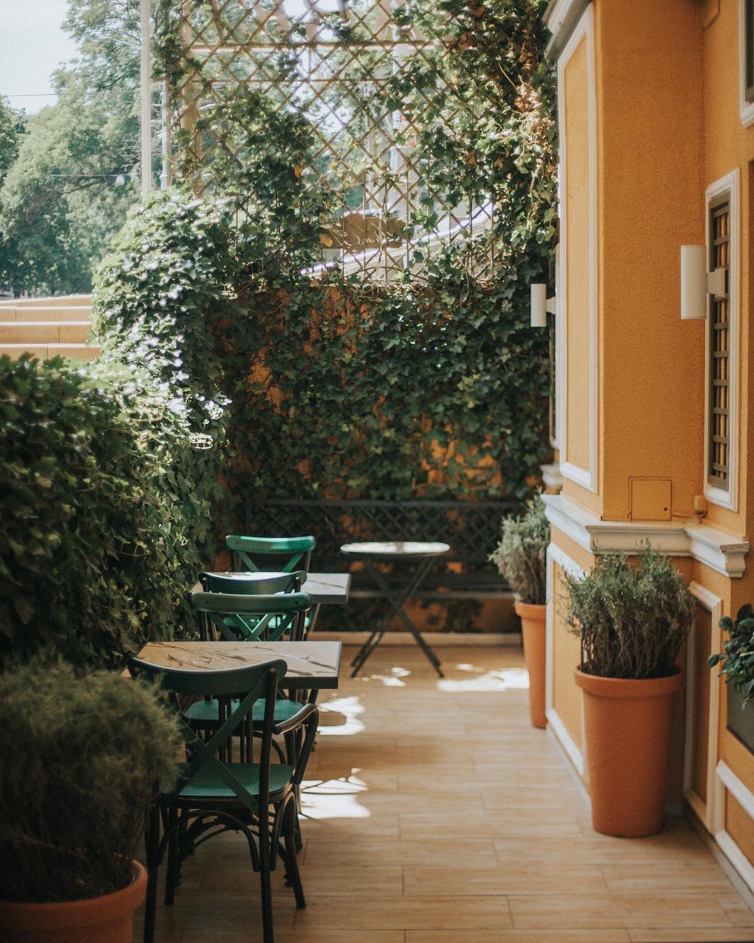 Ресторан Babel gardens. Фото: instagram.com/babel_gardens