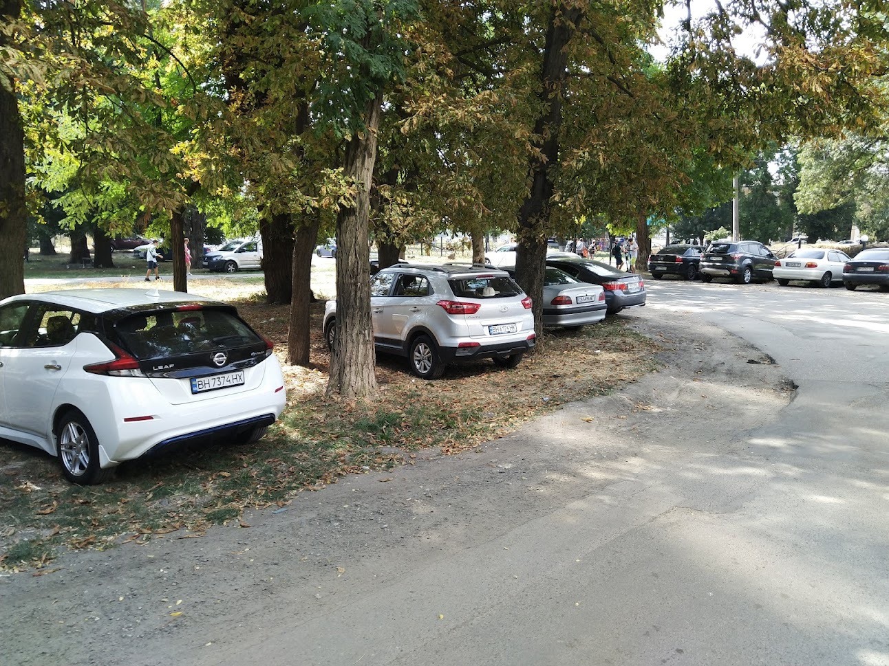 Зеленая зона возле Одесского ипподрома. Фото: Artem Solovyov