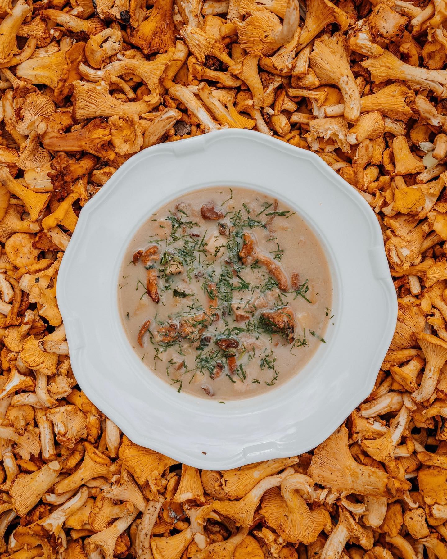 Суп из белых грибов в ресторане "Дача". Фото: instagram.com/restaurant.dacha