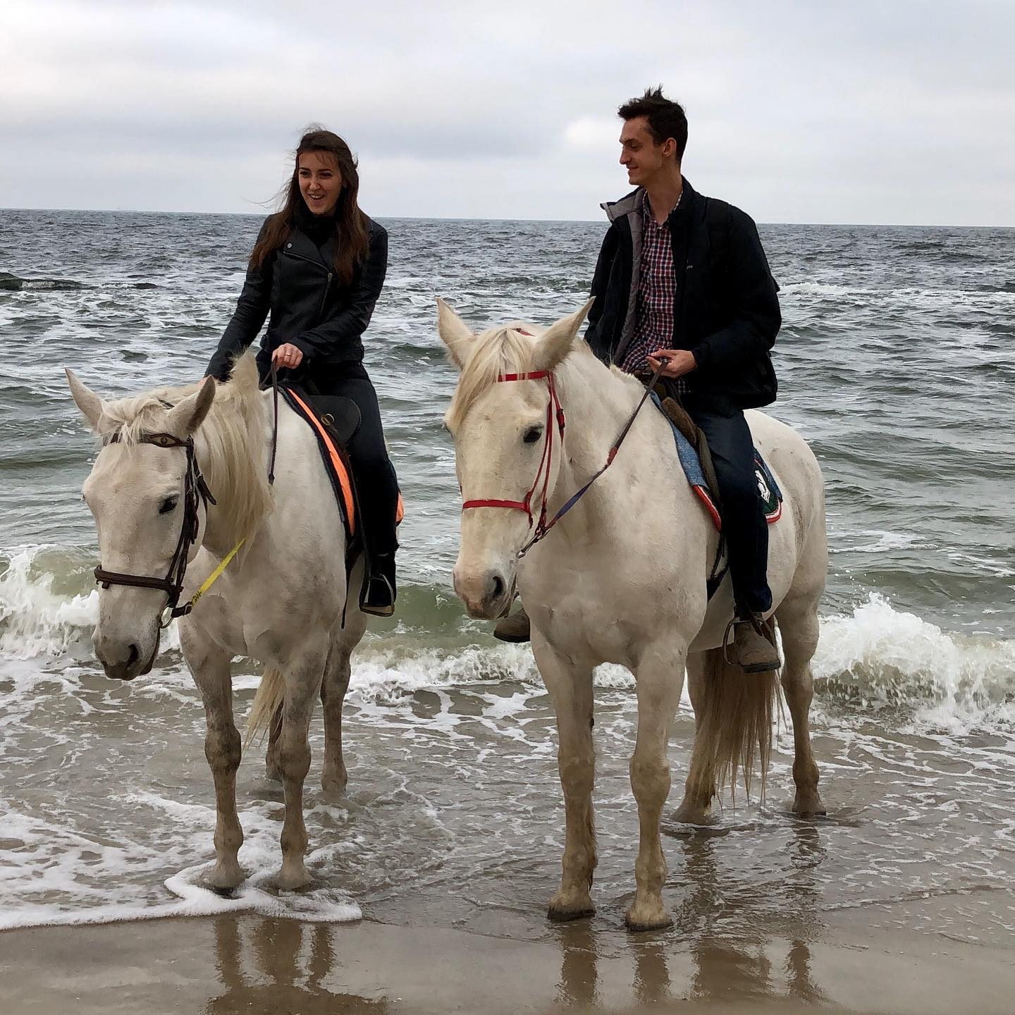 Конный клуб "Айвенго". Фото: instagram.com/odessa_horses