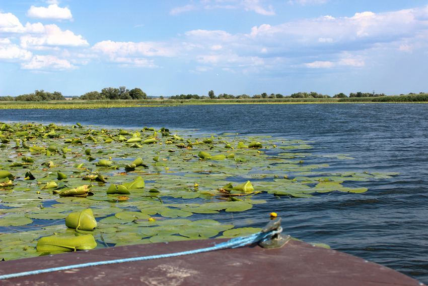 Национальный природный парк "Нижнеднестровский". Фото: nnpp