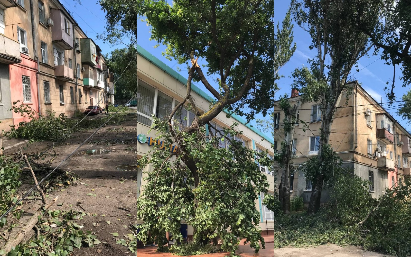 Поваленные деревья и оборванные провода в Одессе 22 июля. Фото: Александра Дедюлина