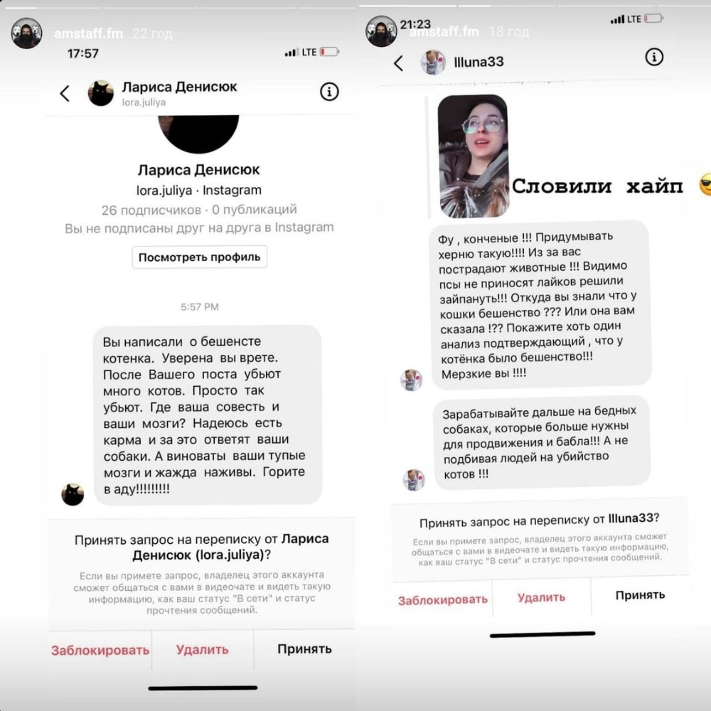 Из-за котенка с бешенством: в Одессе зоозащитники затравили двух блогеров 