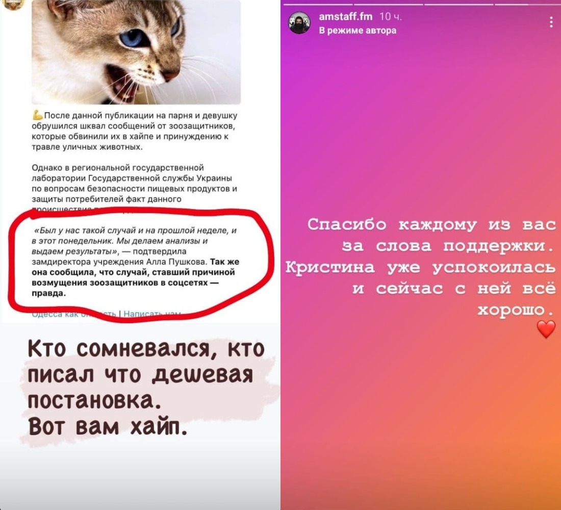 Из-за котенка с бешенством: в Одессе зоозащитники затравили двух блогеров 