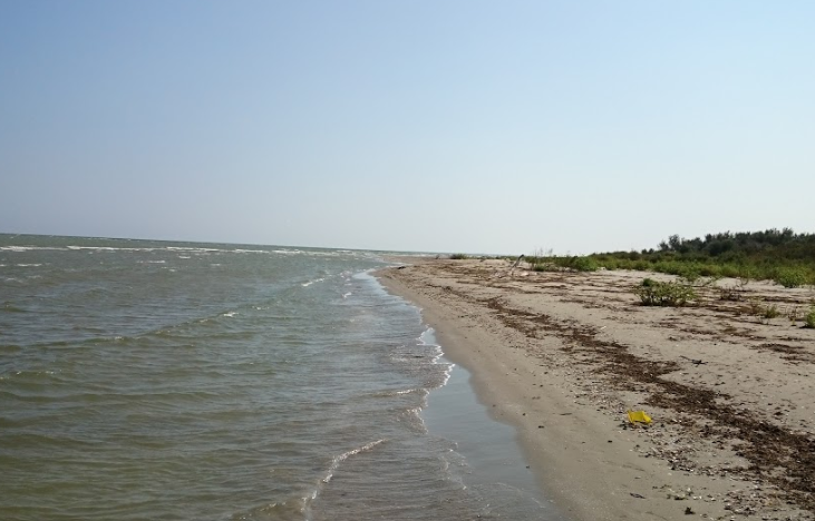 Дунайский биосферный заповедник. Фото: Google Photo