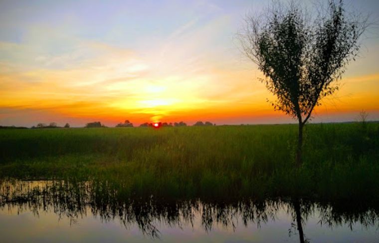 Национальный природный парк "Нижнеднестровский". Фото: Google Photo