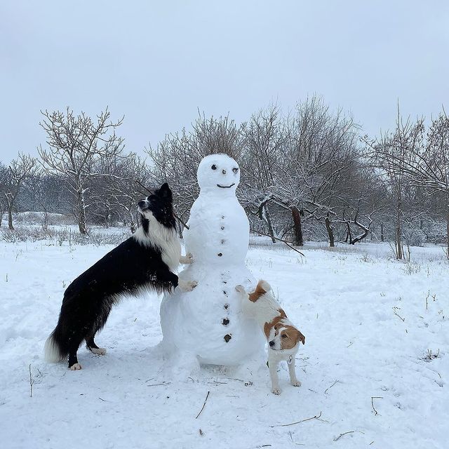 Пока погода позволяет: полюбуйся одесскими снеговиками. Фото: https://www.instagram.com/dumbrava_anna/