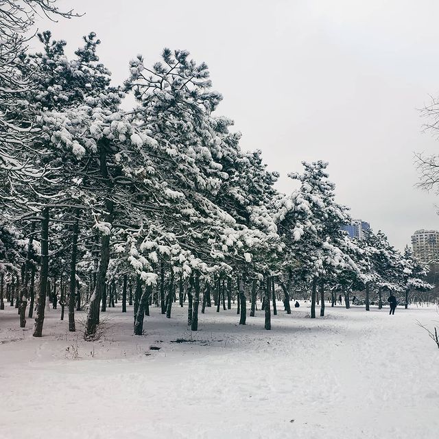 Сказочные пейзажи: смотри, как выглядит заснеженная Одесса. Фото: instagram.com/vvvaleria024