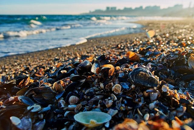 Солнечный город: полюбуйся побережьем Одессы в январе. Фото: Дмитрий Дьяченко