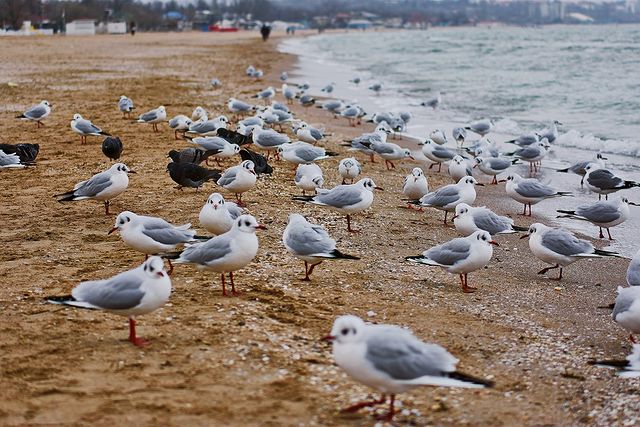 Полюбуйся: как красиво на одесском побережье в декабре. Фото Дмитрия Дьяченко