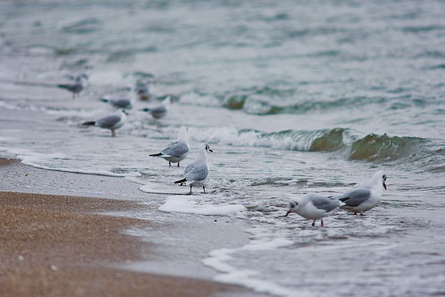 Полюбуйся: как красиво на одесском побережье в декабре. Фото Дмитрия Дьяченко