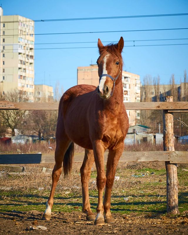 Фото семейного досуга