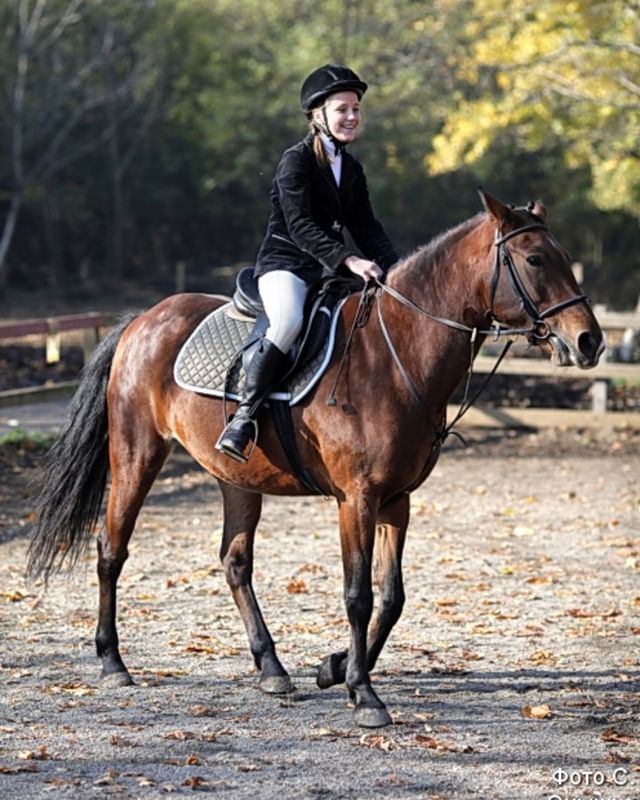 Конный клуб "Стенсон". Фото: instagram.com/stetsonclub