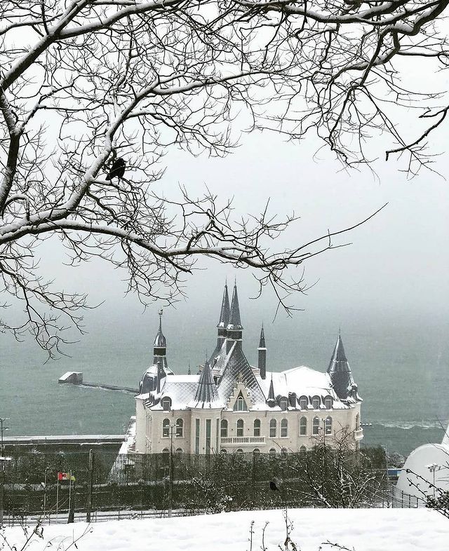 Сказочные пейзажи: смотри, как выглядит заснеженная Одесса. Фото: instagram.com/pokhvalnova