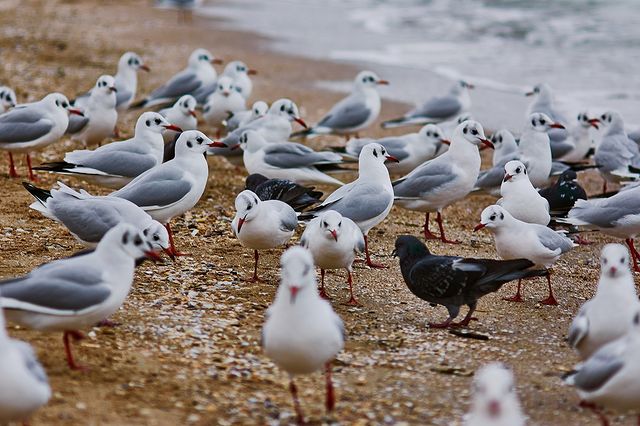 Полюбуйся: как красиво на одесском побережье в декабре. Фото Дмитрия Дьяченко