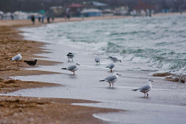Полюбуйся: как красиво на одесском побережье в декабре. Фото Дмитрия Дьяченко