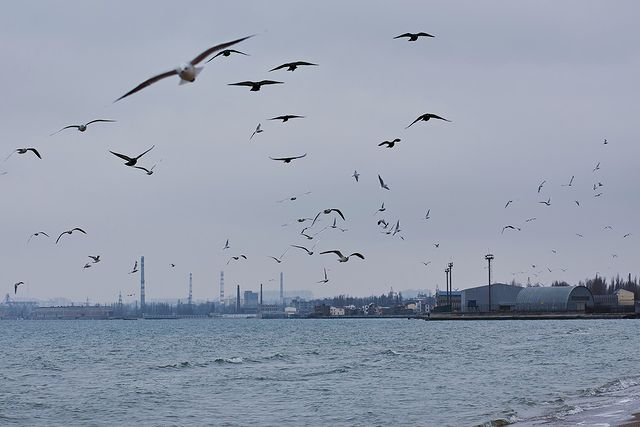 Полюбуйся: как красиво на одесском побережье в декабре. Фото Дмитрия Дьяченко