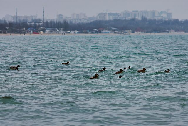 Полюбуйся: как красиво на одесском побережье в декабре. Фото Дмитрия Дьяченко