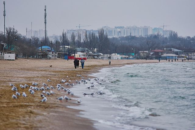 Полюбуйся: как красиво на одесском побережье в декабре. Фото Дмитрия Дьяченко