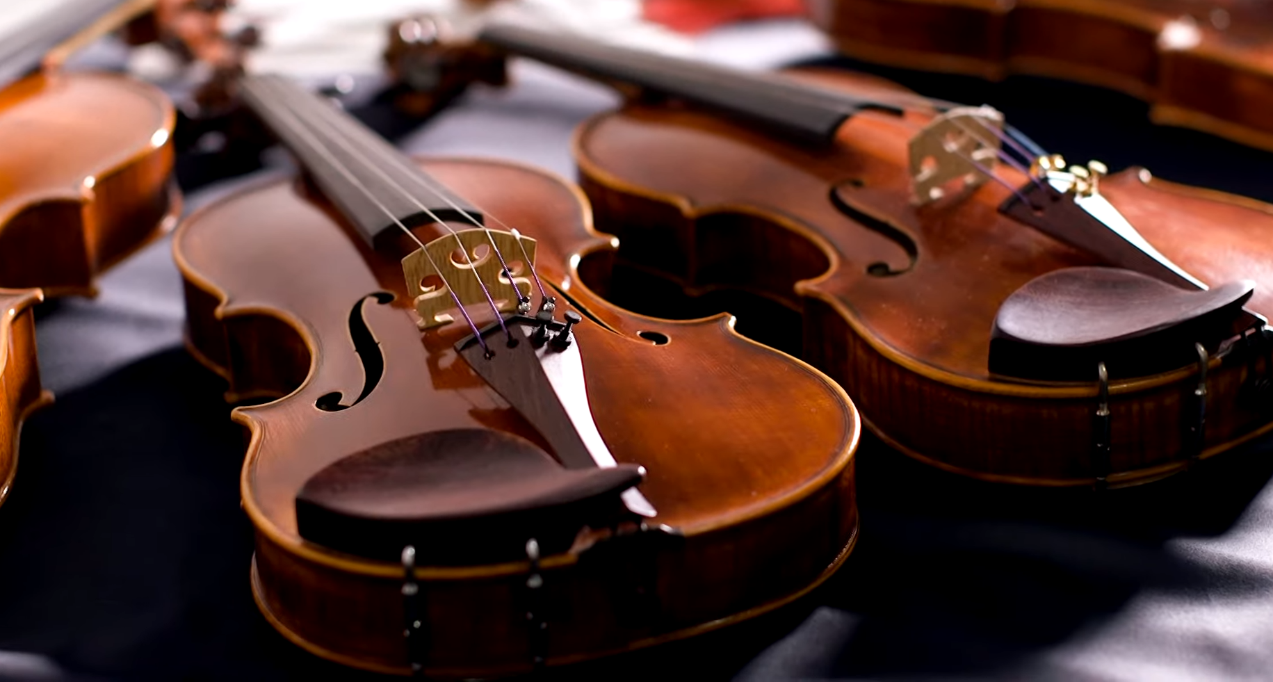 Концерт классической музыки. Фото: pinterest