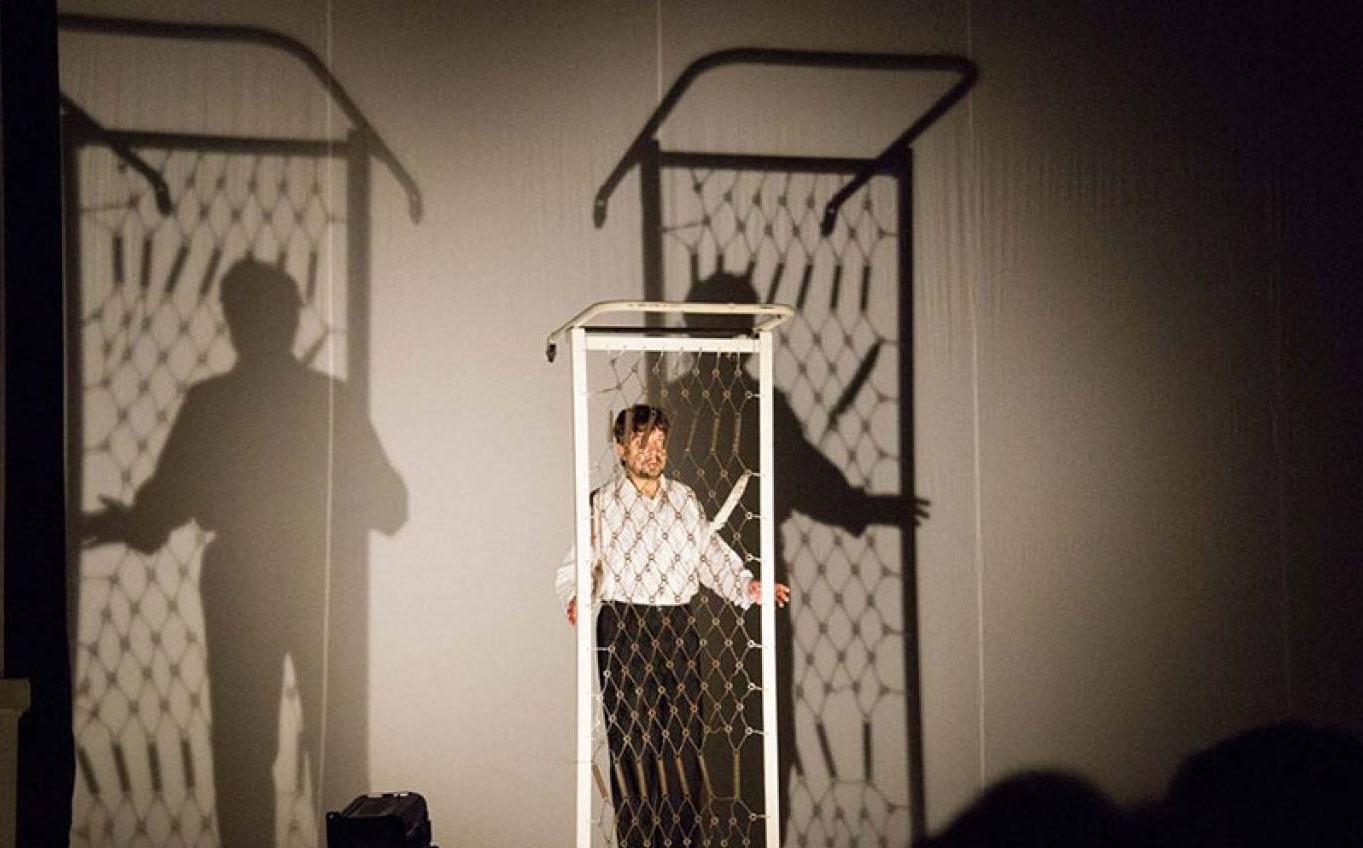 Спектакль "Записки сумасшедшего