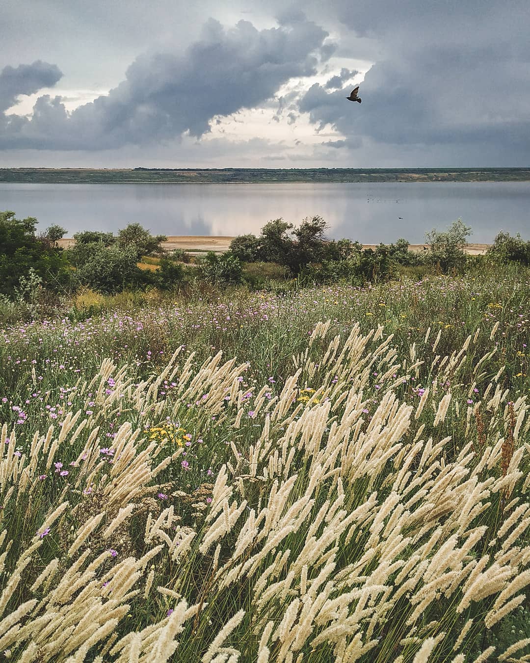 Как выглядит Куяльницкий лиман в сентябре 2021 года. Фото: instagram.com/amelie.vega