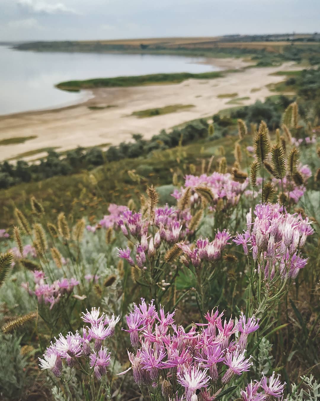Как выглядит Куяльницкий лиман в сентябре 2021 года. Фото: instagram.com/amelie.vega