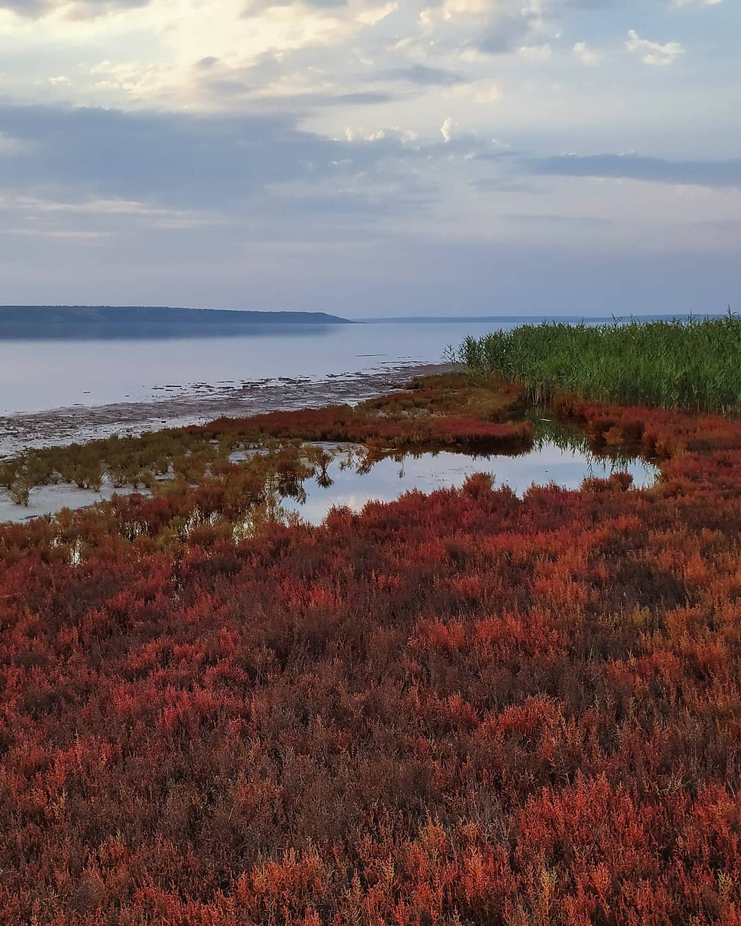 Как выглядит Куяльницкий лиман в сентябре 2021 года. Фото: instagram.com/amelie.vega